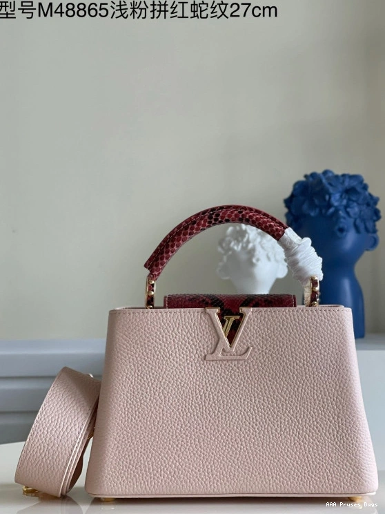 AAA Pruses Bags BB VUITTON CAPUCINES LOUIS 0822